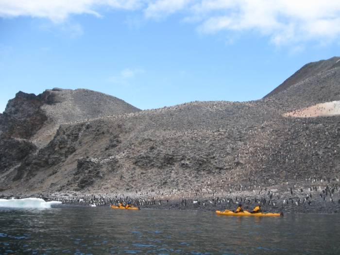 ron-antartica-2008-08-36