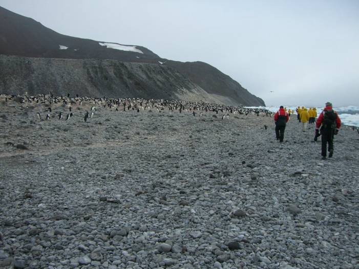 ron-antartica-2008-09-02