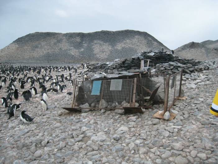 ron-antartica-2008-09-15