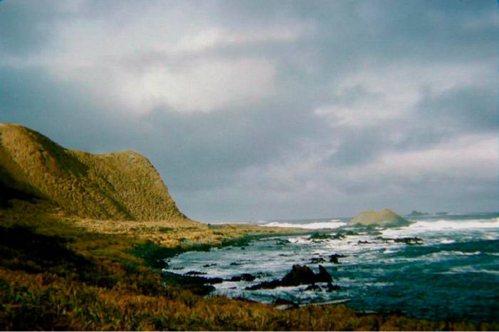 ron-antartica-2008-09-22