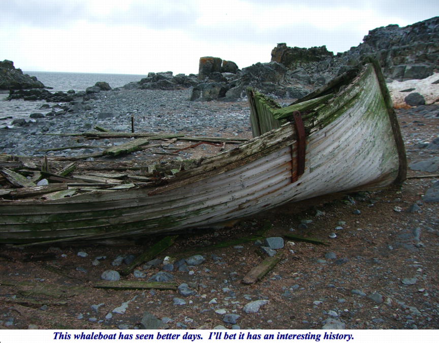 ron-antartica-2008-10-04