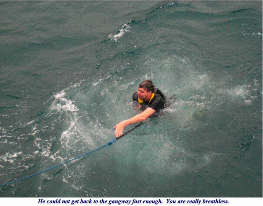 ron-antartica-2008-10-34