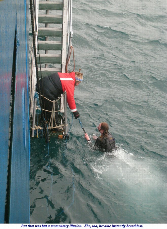 ron-antartica-2008-10-36