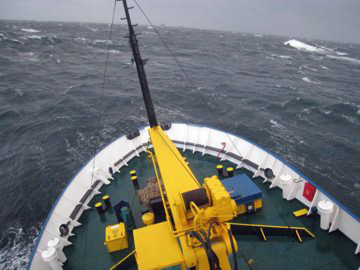 2008-Dec-Antarctica-Ron-302