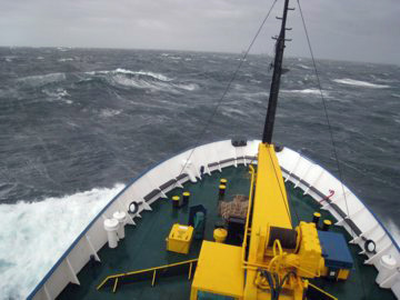 2008-Dec-Antarctica-Ron-303