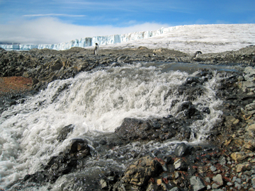 2008-Dec-Antarctica-Ron-485418