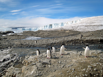 2008-Dec-Antarctica-Ron-485421