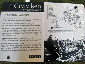 2008-Dec-Antarctica-Ron-521