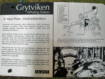 2008-Dec-Antarctica-Ron-529