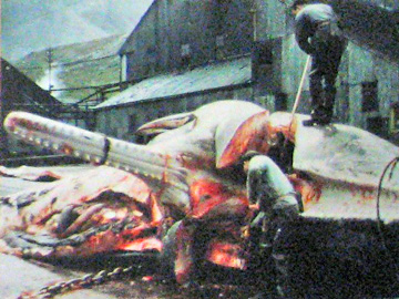 2008-Dec-Antarctica-Ron-547-c