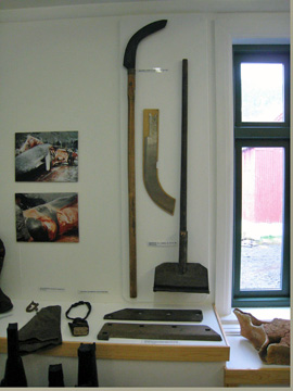 2008-Dec-Antarctica-Ron-549