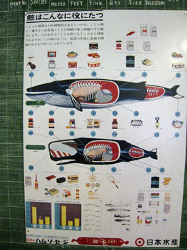 2008-Dec-Antarctica-Ron-550