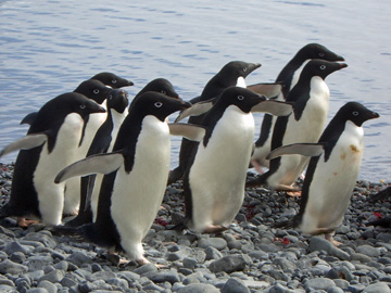 2008-Dec-BrownBluff-Pete-16