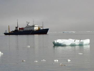 2008-Dec-BrownBluff-Pete-33