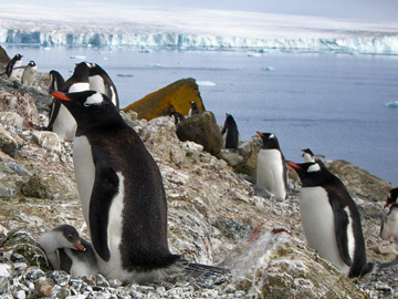 2008-Dec-BrownBluff-Pete-63