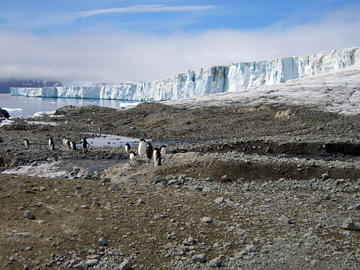 2008-Dec-BrownBluff-Pete-82