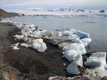 2008-Dec-BrownBluff-Pete-87