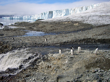 2008-Dec-BrownBluff-Pete-88