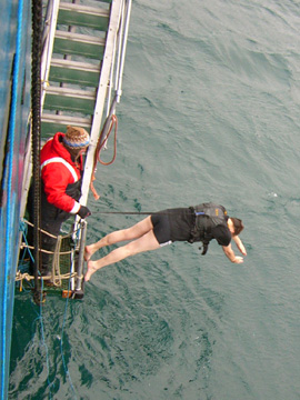 2008-Dec-DecptionIsland-Pete-80