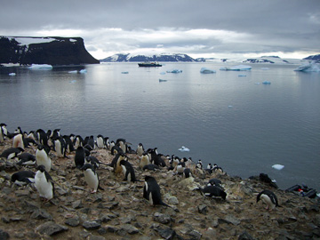 2008-Dec-DevilsIsland-Pete-11