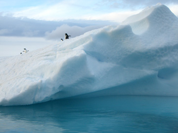 2008-Dec-DevilsIsland-Pete-41