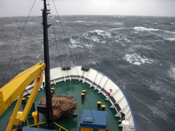 2008-Dec-Malvinas-ShagRock-Pete-08