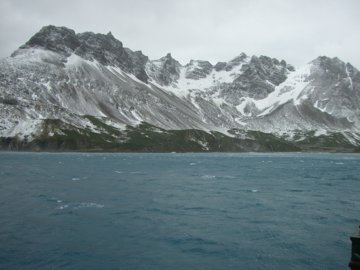 2008-Dec-Malvinas-ShagRock-Pete-11