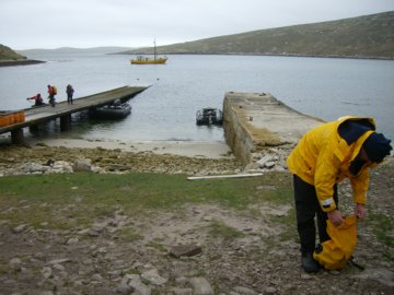 2008-Dec-Malvinas-WestPointIsland-Pete-01