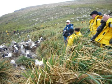 2008-Dec-Malvinas-WestPointIsland-Pete-17