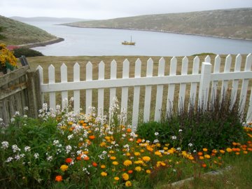 2008-Dec-Malvinas-WestPointIsland-Pete-26