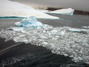2008-Dec-OpenWaterAnimalsOnIce-Pete-05