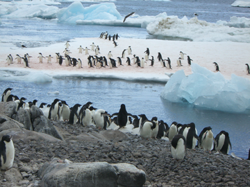 2008-Dec-PauletIsland-Pete-037