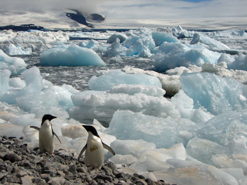 2008-Dec-PauletIsland-Pete-062