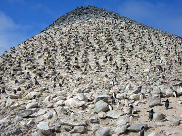 2008-Dec-PauletIsland-Pete-077