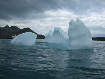 2008-Dec-SouthGeorgia-CooperBay-Drygalaski Fjord-Pete-35