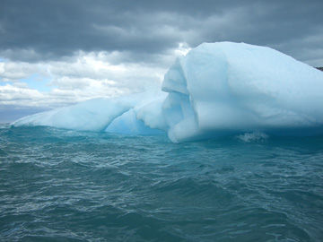 2008-Dec-SouthGeorgia-CooperBay-Drygalaski Fjord-Pete-53