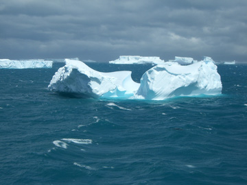 2008-Dec-SouthGeorgia-CooperBay-Drygalaski Fjord-Pete-68