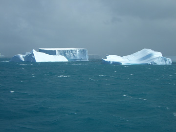 2008-Dec-SouthGeorgia-CooperBay-Drygalaski Fjord-Pete-90