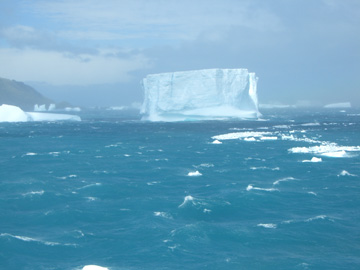 2008-Dec-SouthGeorgia-CooperBay-Drygalaski Fjord-Pete-94