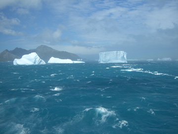 2008-Dec-SouthGeorgia-CooperBay-Drygalaski Fjord-Pete-95