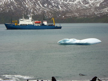 2008-Dec-SouthGeorgia-FortunaBay-Pete-04