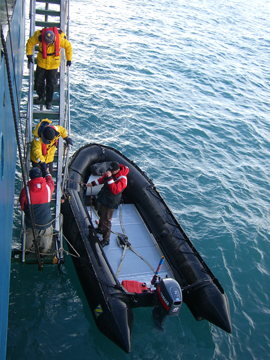 2008-Dec-SouthGeorgia-GoldHarbour-Pete-01