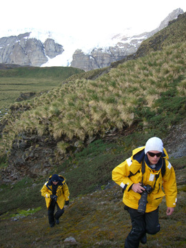 2008-Dec-SouthGeorgia-GoldHarbour-Pete-32