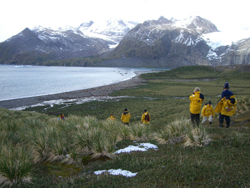 2008-Dec-SouthGeorgia-GoldHarbour-Pete-37