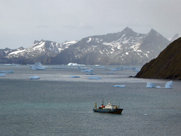 2008-Dec-SouthGeorgia-GoldHarbour-Pete-48