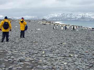 2008-Dec-SouthGeorgia-SalisburyPlain-Pete-74