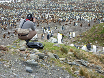 2008-Dec-SouthGeorgia-StAndrewsBay-Pete-049