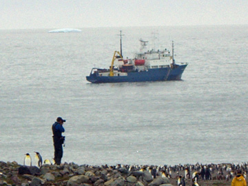 2008-Dec-SouthGeorgia-StAndrewsBay-Pete-096