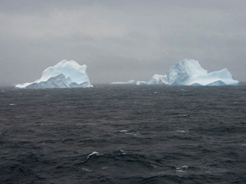 2008-Dec-SouthOrkney-Pete-029