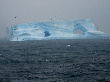 2008-Dec-SouthOrkney-Pete-041
